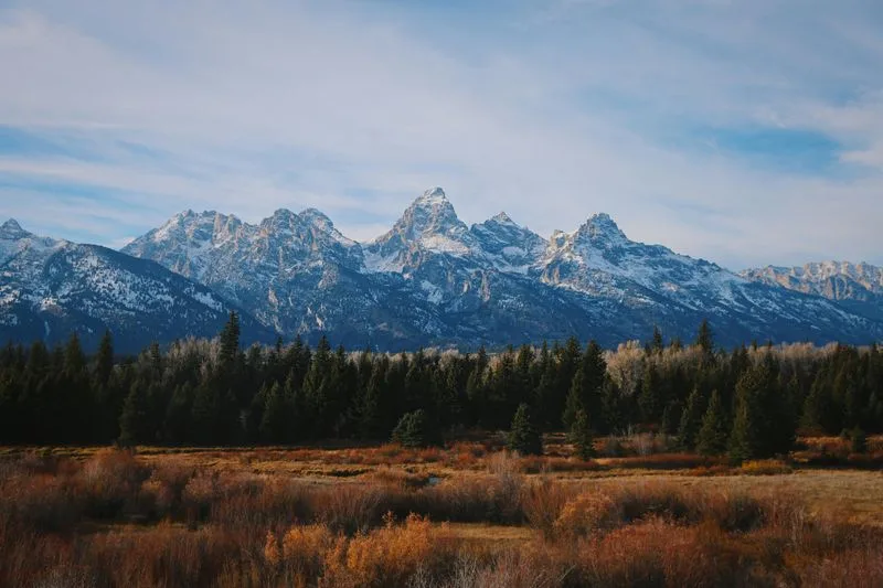 The Majestic Views of the Tetons
