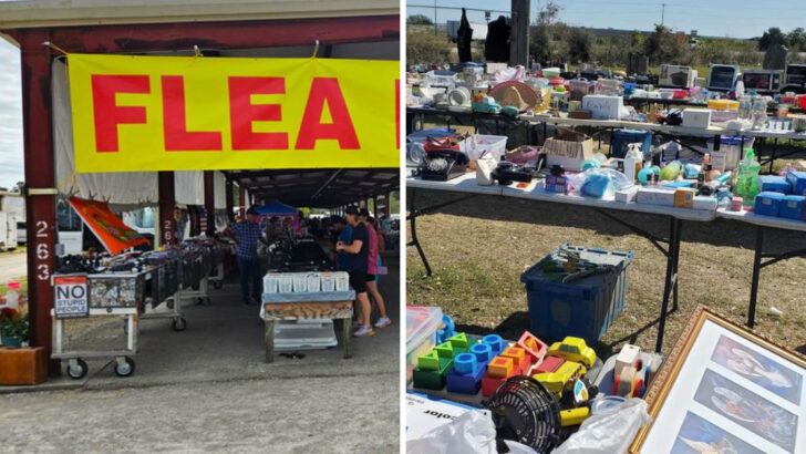 The Huge Mississippi Flea Market That Shoppers Visit for Deals Week After Week