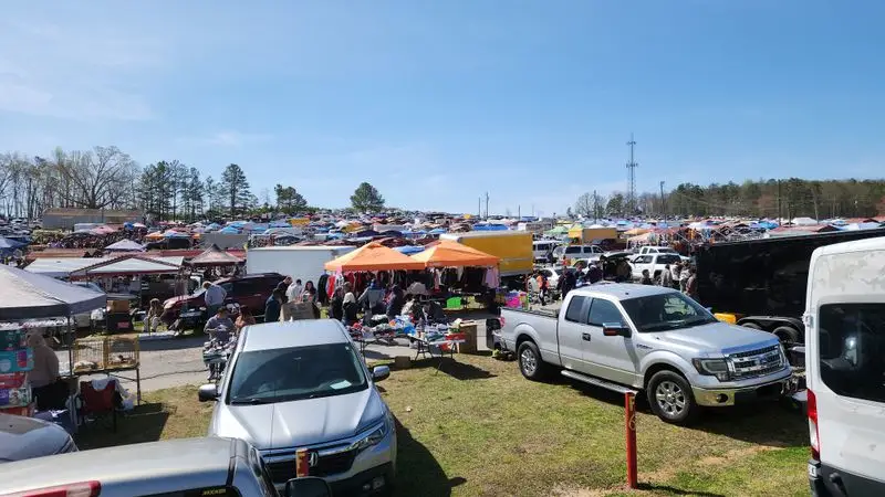 Early Bird Arrival Strategy