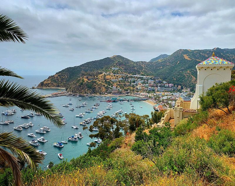 Catalina Island, California