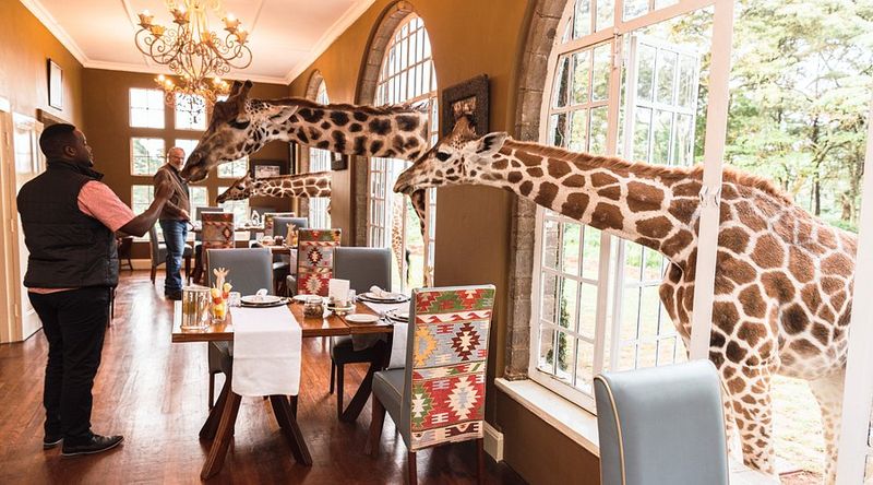 Giraffe Manor, Kenya