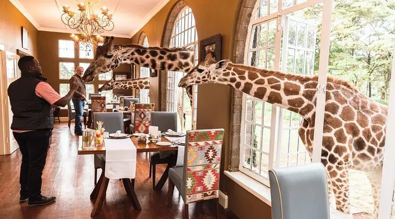 Giraffe Manor, Kenya