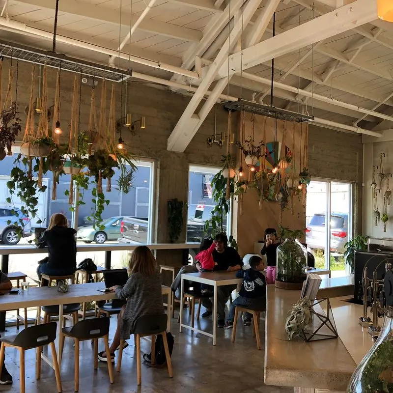 Verve Coffee Roasters (Pacific Ave)