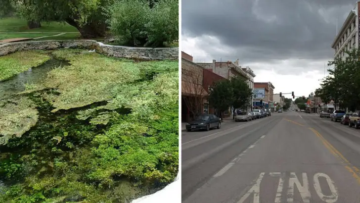 The Montana Town at the Heart of the State with Trail Access, Scenic Ridgelines, and Quiet Streets