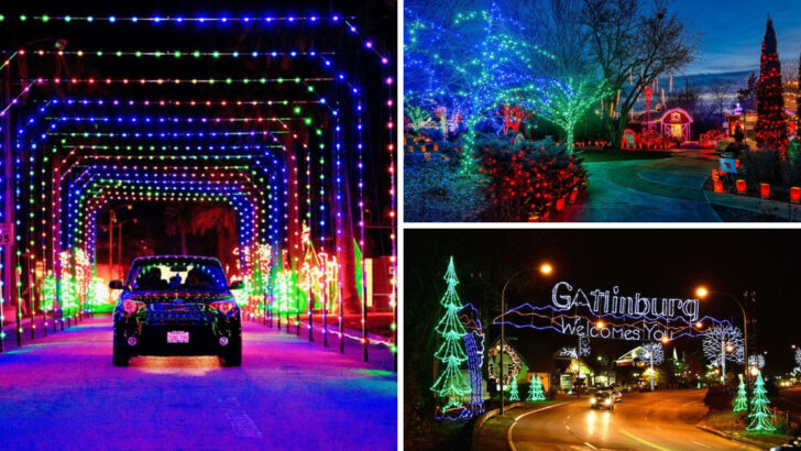 The Most Photographed Holiday Scene in Every U.S. State