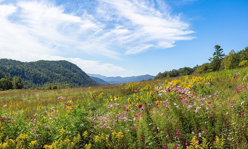 The Great Smoky Mountains