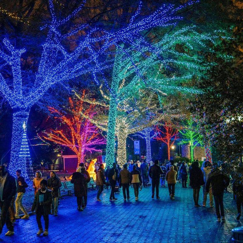 ZooLights at the Smithsonian National Zoo
