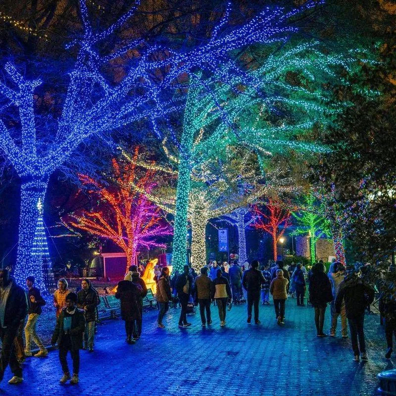 ZooLights at the Smithsonian National Zoo