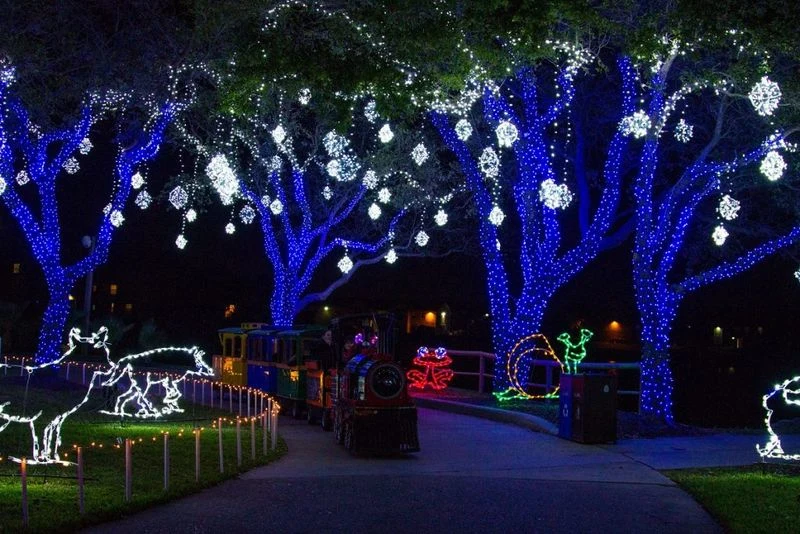 Moody Gardens Festival of Lights