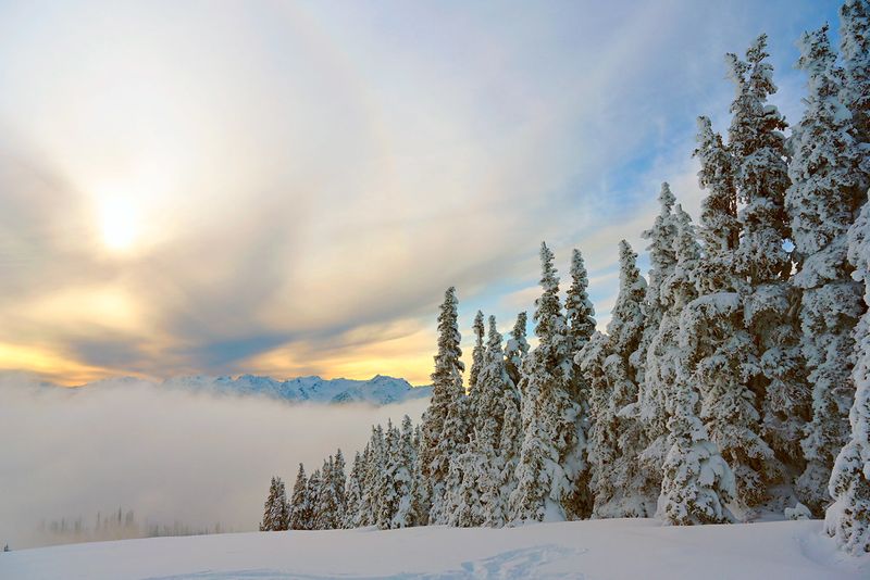 Hurricane Ridge