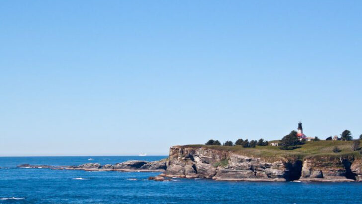 The Olympic Peninsula Spots Where Weekends Now Mean Packed Parking Lots