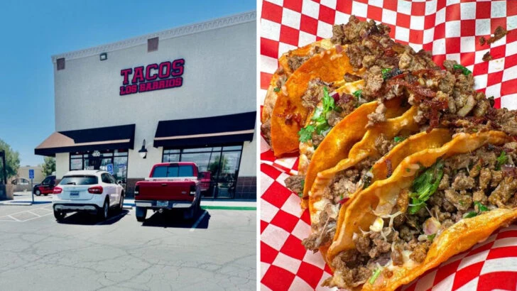 The Quesabirria At This Nevada Kitchen Has Locals Dropping In Again And Again