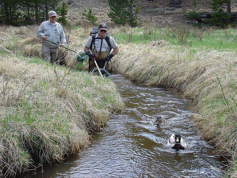 Rocky Mountain National Park Region