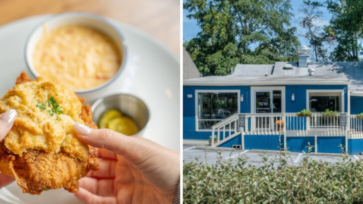 The chicken-and-biscuits at this Georgia kitchen feel right no matter the season