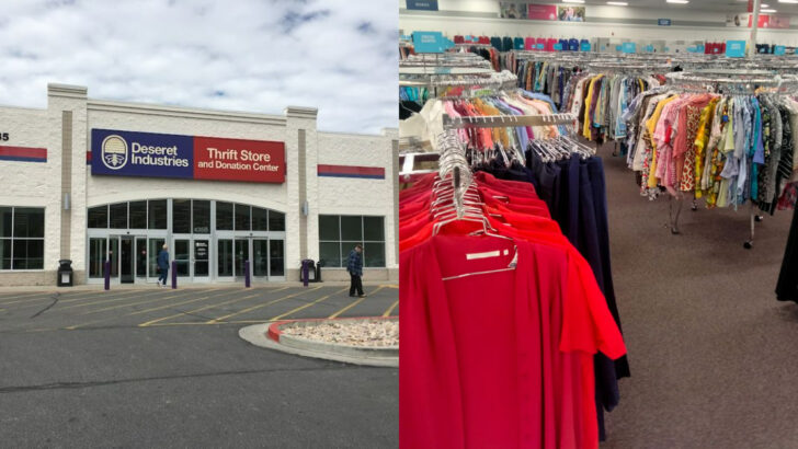 The massive secondhand store in California where collectors and casual shoppers both walk out happy
