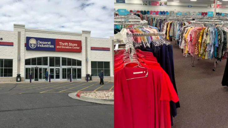 The massive secondhand store in California where collectors and casual shoppers both walk out happy