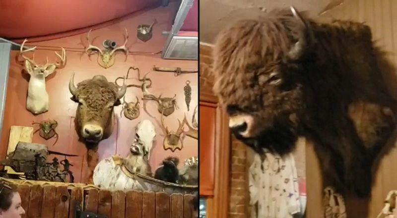 Slow Roasted Bison Prime Rib