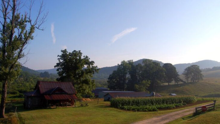 There are 7 Alabama and Georgia Ridge-Line Towns Where Families Slow Down for a Few Days and Wake to Quiet Mornings Above the Trees