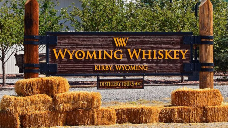 These states get labeled “flyover country,” but travelers keep naming them as favorites