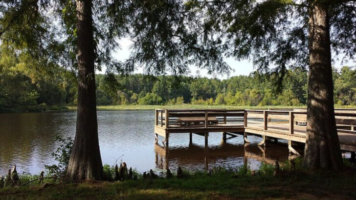 This Arkansas park might be the South’s most underrated fall escape