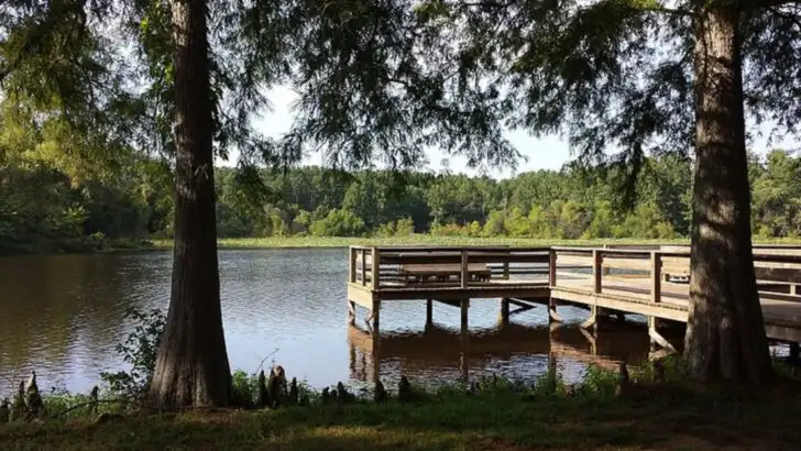 This Arkansas park might be the South’s most underrated fall escape