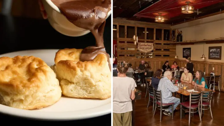 This Tennessee Biscuit Shop Won Fans by Keeping Its Recipes Simple and True
