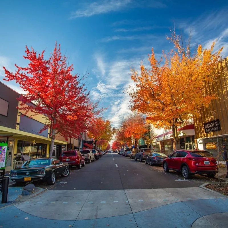 Downtown Roseburg Revival