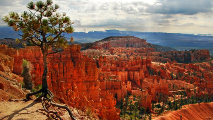 Utah’s canyon edge reveals 8 easy scenic escapes perfect for adults avoiding heavy hikes