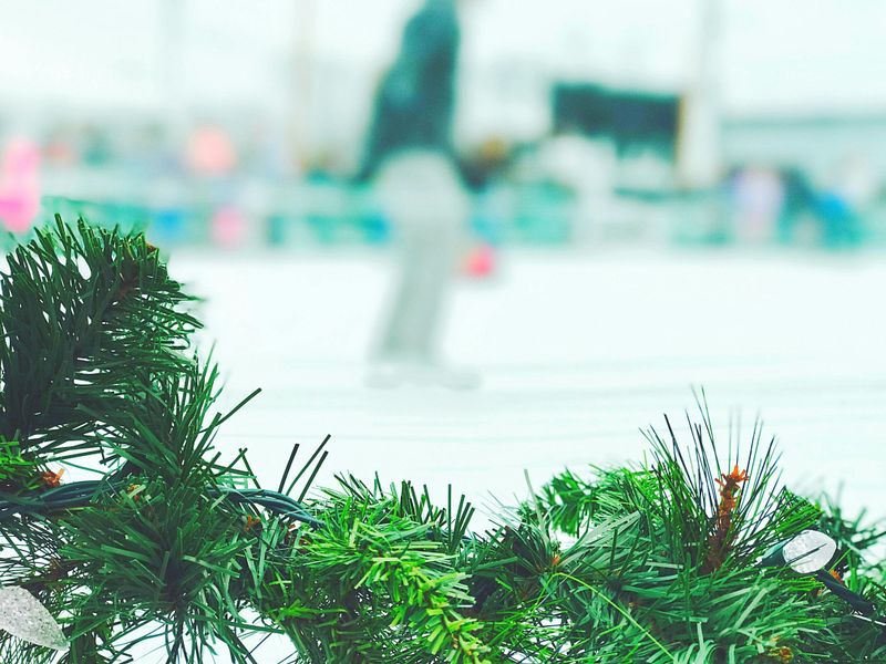 Ice Skating at Winterfest at Seattle Center