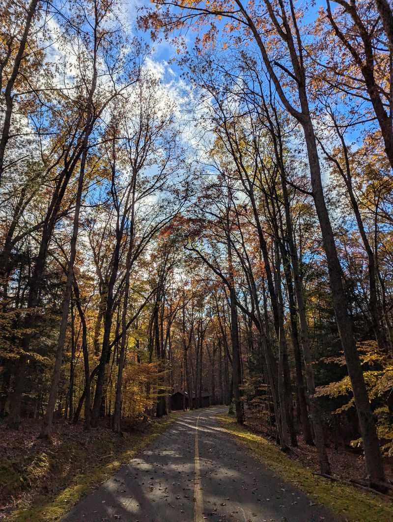Parking carelessly on narrow country roads