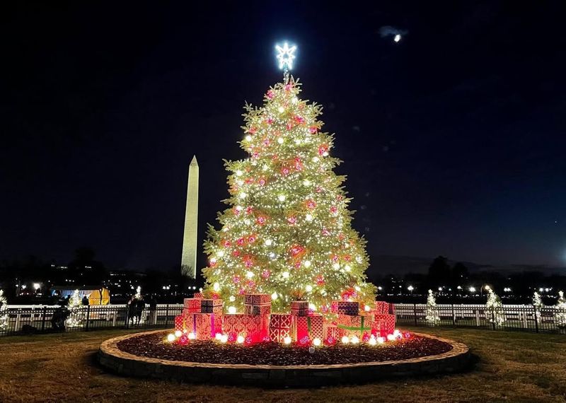The National Christmas Tree on the Ellipse