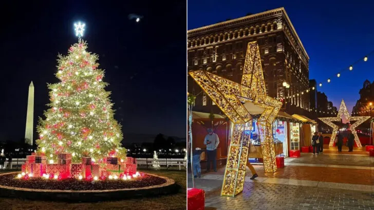 Washington, D.C. has 10 festive experiences families never regret trying