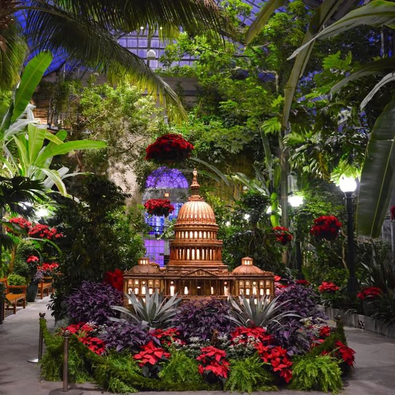 U.S. Botanic Garden seasonal display (Seasons’ Greenings)