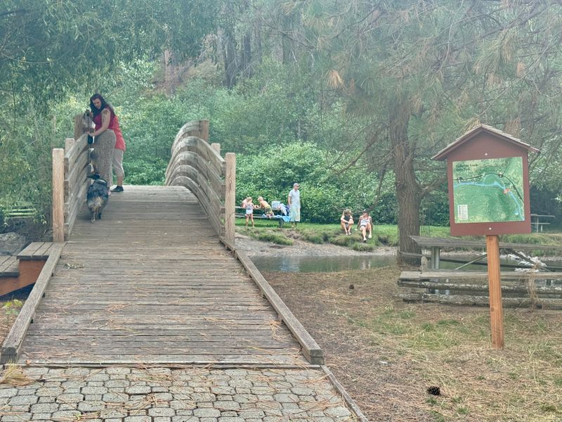 Best seasons and timing