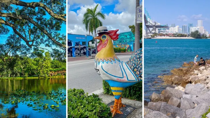 What to see in Miami? 10 colorful spots that capture its tropical energy