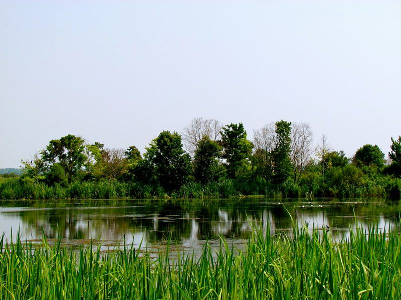 Savannah National Wildlife Refuge