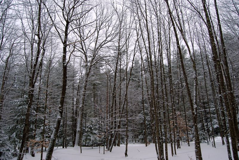 North Conway, New Hampshire