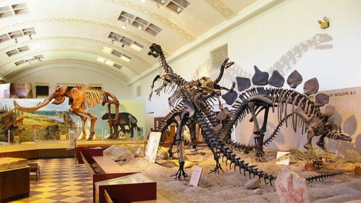 Why Utah Holds One of the Richest Dinosaur Fossil Collections in the Country and Where to See Them