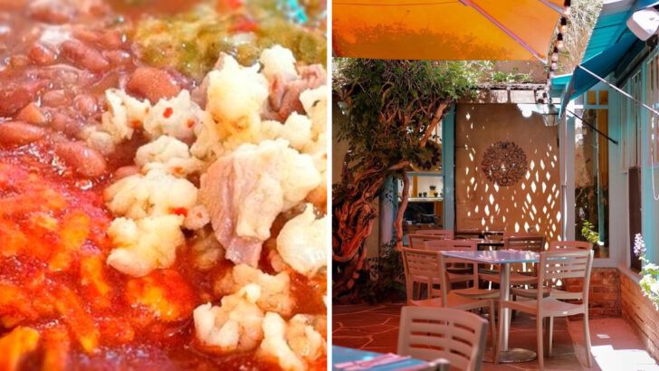 Why this New Mexico café’s red chile enchilada plate comes up in nearly every local recommendation