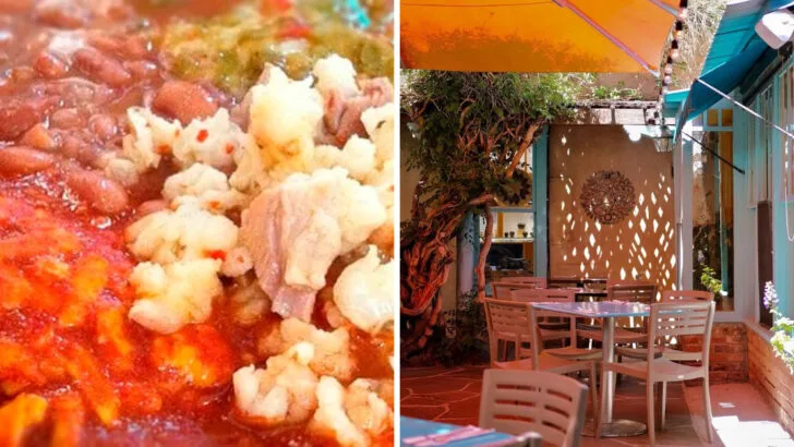 Why this New Mexico café’s red chile enchilada plate comes up in nearly every local recommendation