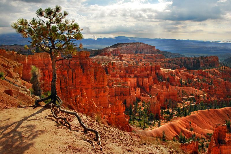 Bryce Canyon National Park Sunset Point