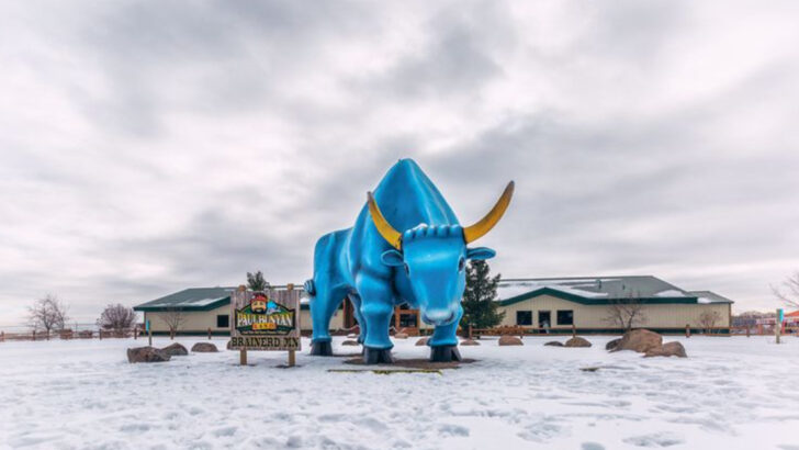 10 Snowy Retreats in the Midwest Where Travelers Slow Down for Peaceful Winter Weekends