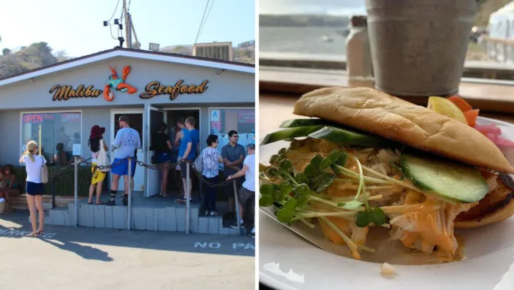 11 California Spots Serving Fish Sandwiches So Good Travelers Return Just for Another Bite