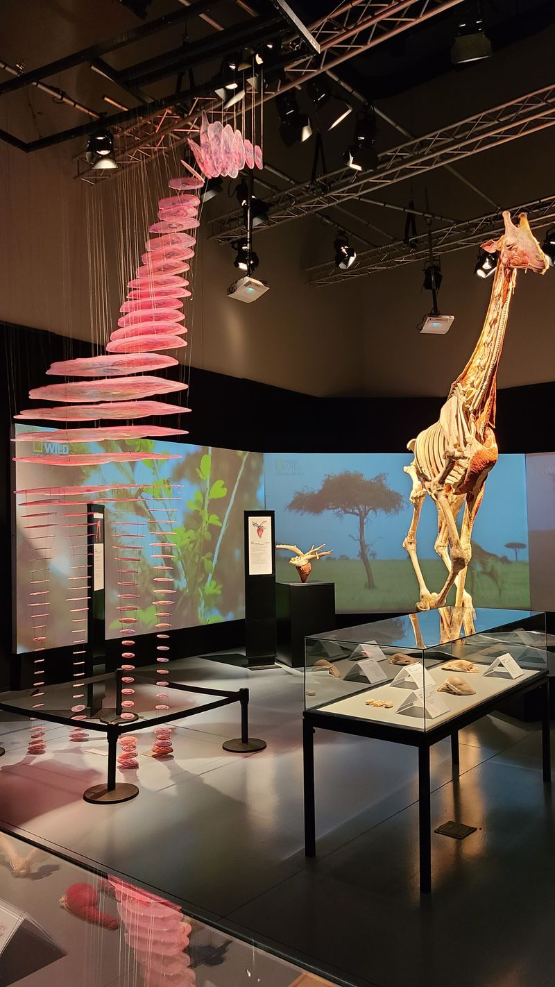 Museum of Idaho — Idaho Falls, ID