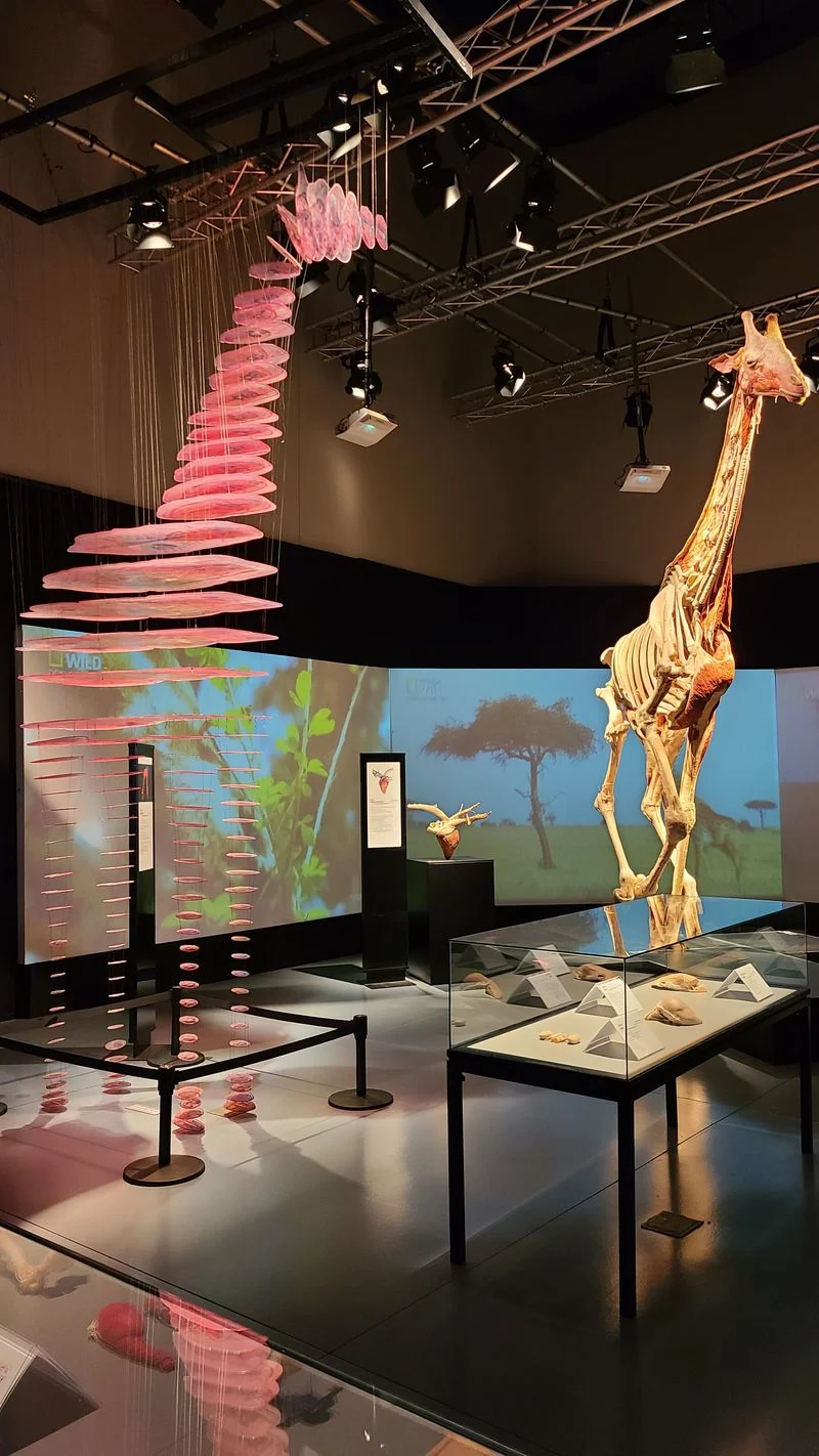 Museum of Idaho — Idaho Falls, ID