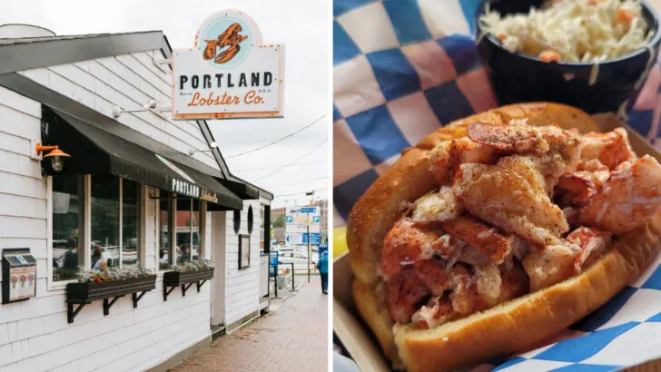 11 Maine Places Serving Lobster Rolls With the Kind of Simple Quality People Appreciate