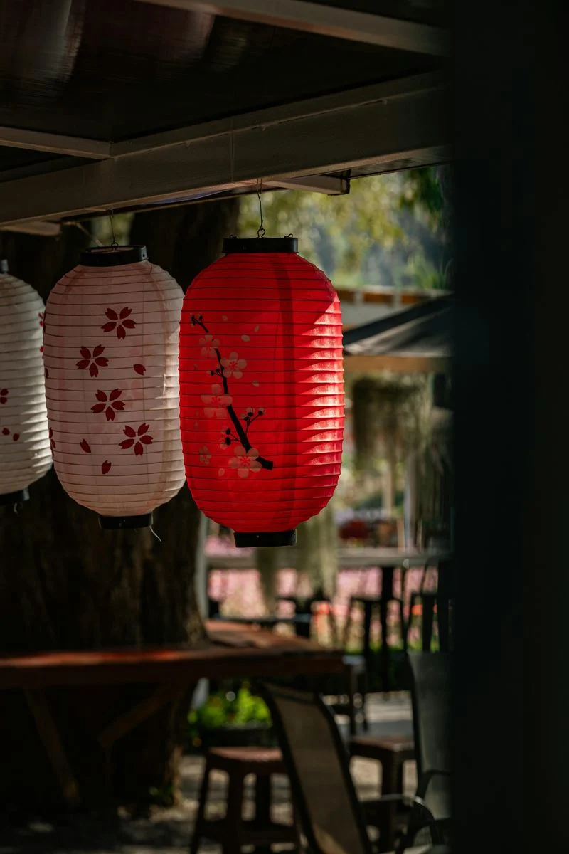 Overpriced Theme Park Photo Packages