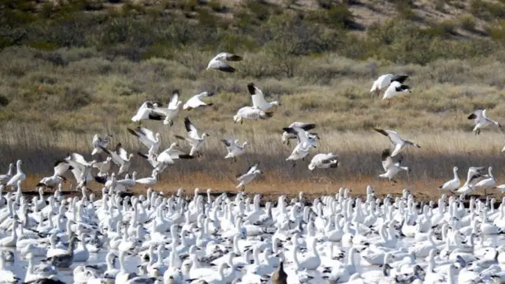 11 Winter-friendly Day Trips in New Mexico with Clear Roads and Big Payoffs