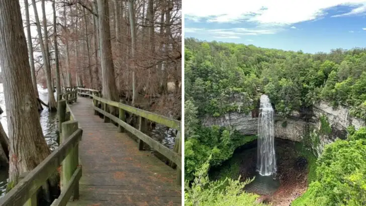 11 relaxing day trips in Tennessee that don&rsquo;t take much planning