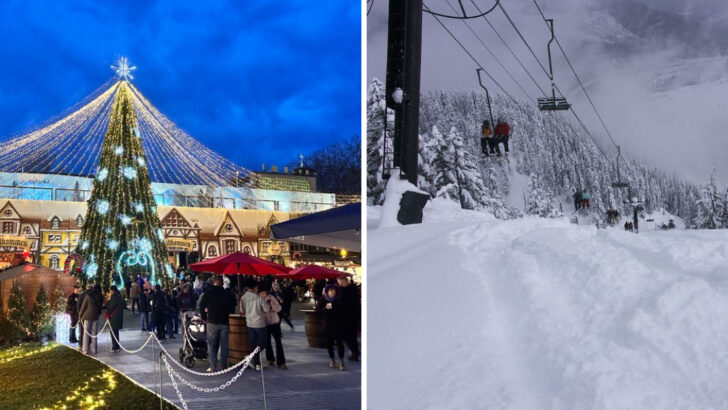 12 December Experiences Locals Recommend in Seattle